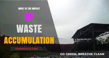 Waste Accumulation's Devastating Impact on Environment, Health, and Economy