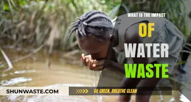 Water Waste Crisis: Environmental, Economic, and Social Consequences Explored
