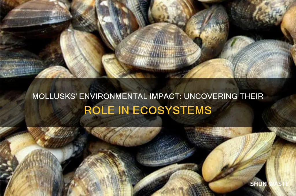 what is the impact on the environment for the mollusk