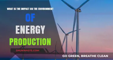 Energy Production's Environmental Impact: Challenges and Sustainable Solutions