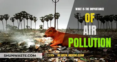 Air Pollution: A Global Health Crisis