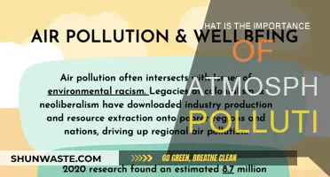 The Air We Breathe: Pollution's Impact
