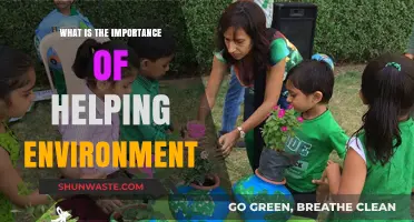Helping the Environment: Why It's Crucial for Our Planet's Future
