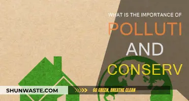 The Impact of Pollution: Conservation's Critical Role