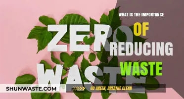 Reducing Waste: A Key Step Towards a Sustainable Future