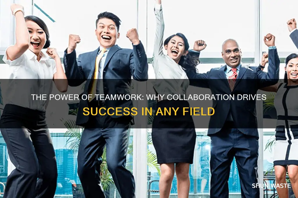 what is the importance of working in a team environment