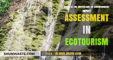 Ecotourism's Future: Why Environmental Impact Assessments Are Crucial