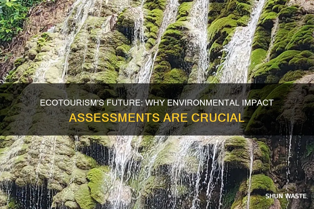 what is the important of environment impact assessment in ecotourism