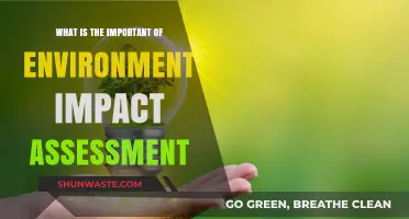 Understanding the Critical Role of Environmental Impact Assessments