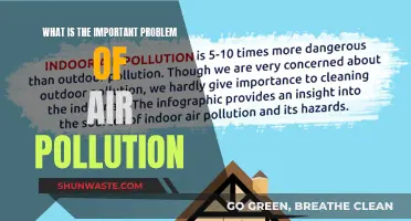 Air Pollution: A Deadly Crisis