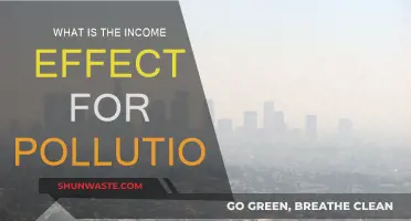 Pollution's Income Effect: The Poor Pay More