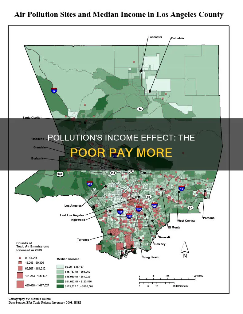 what is the income effect for pollution