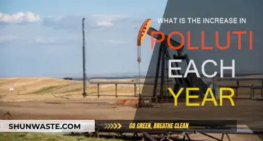 Pollution's Annual Rise: A Worrying Trend