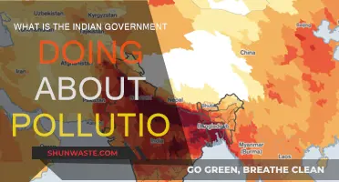 India's Pollution Fight: Government Initiatives and Actions