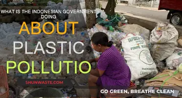 Indonesia's War on Plastic Pollution: Government Initiatives