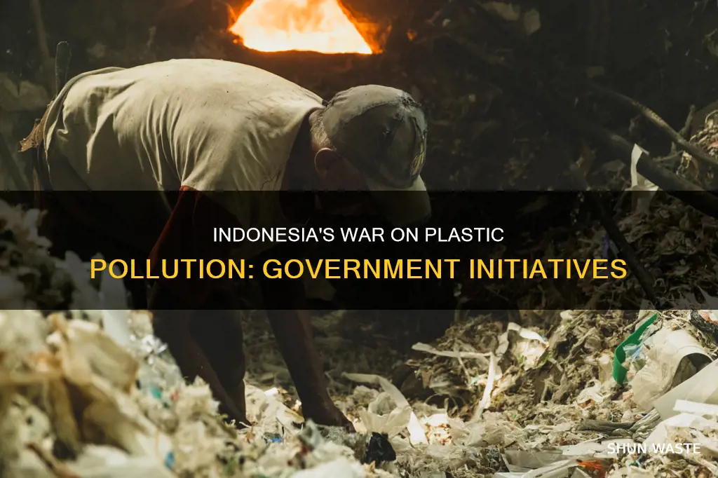 what is the indonesian government doing about plastic pollution