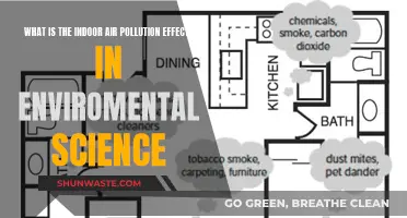 Air Pollution's Indoor Impact: Environmental Science Explains