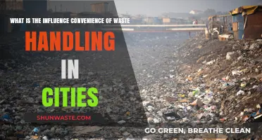 Convenience in Urban Waste Handling: Transforming City Sustainability and Efficiency