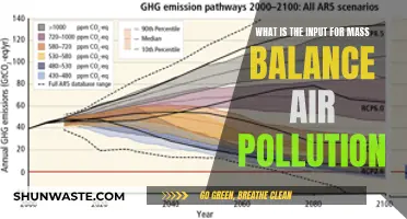 Air Pollution: Understanding Input for Mass Balance
