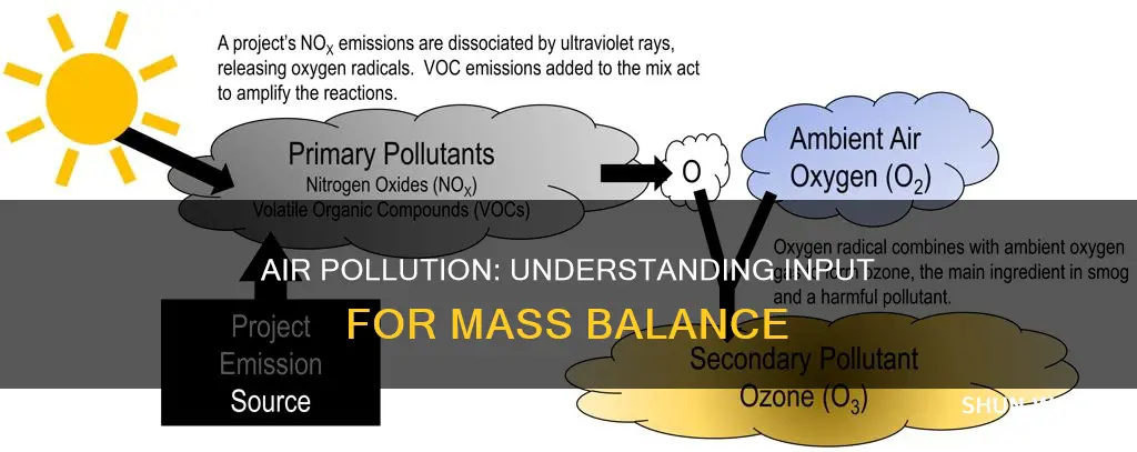 what is the input for mass balance air pollution