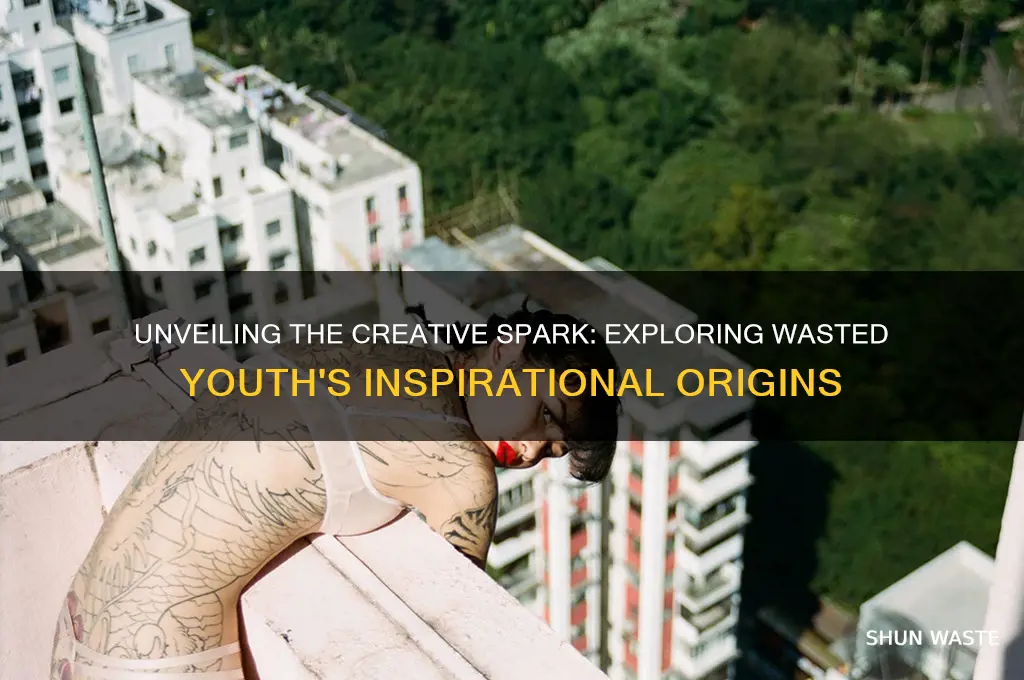 what is the inspiration behind wasted youth
