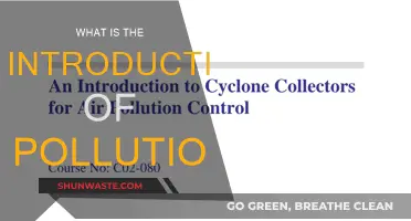 The Pollution Problem: An Introduction