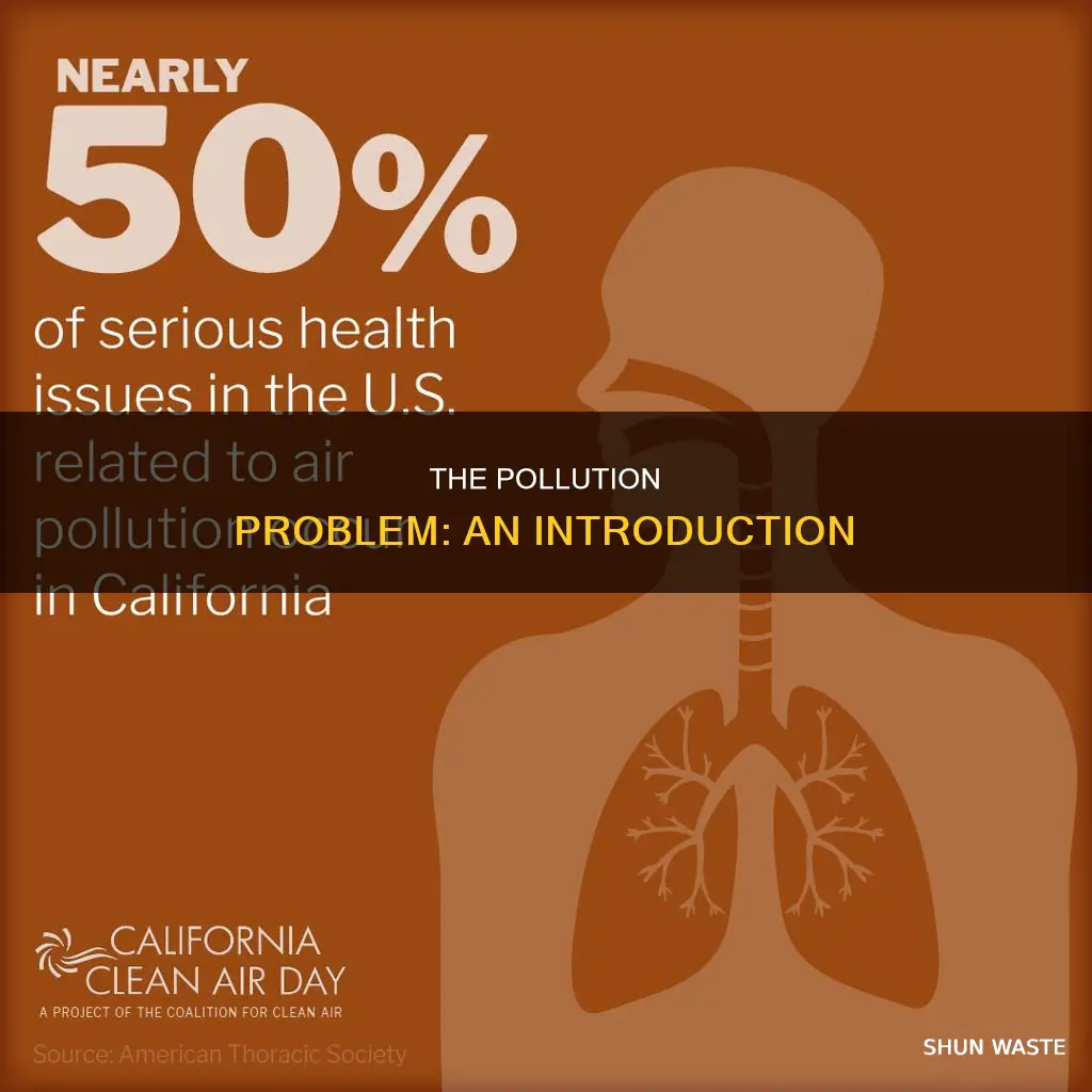 what is the introduction of pollution