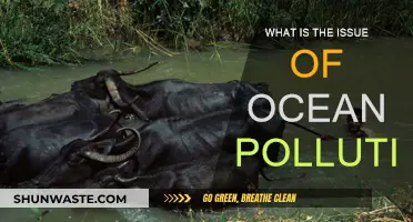 Ocean Pollution: A Global Crisis