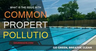 Common Property Pollution: Whose Problem Is It?
