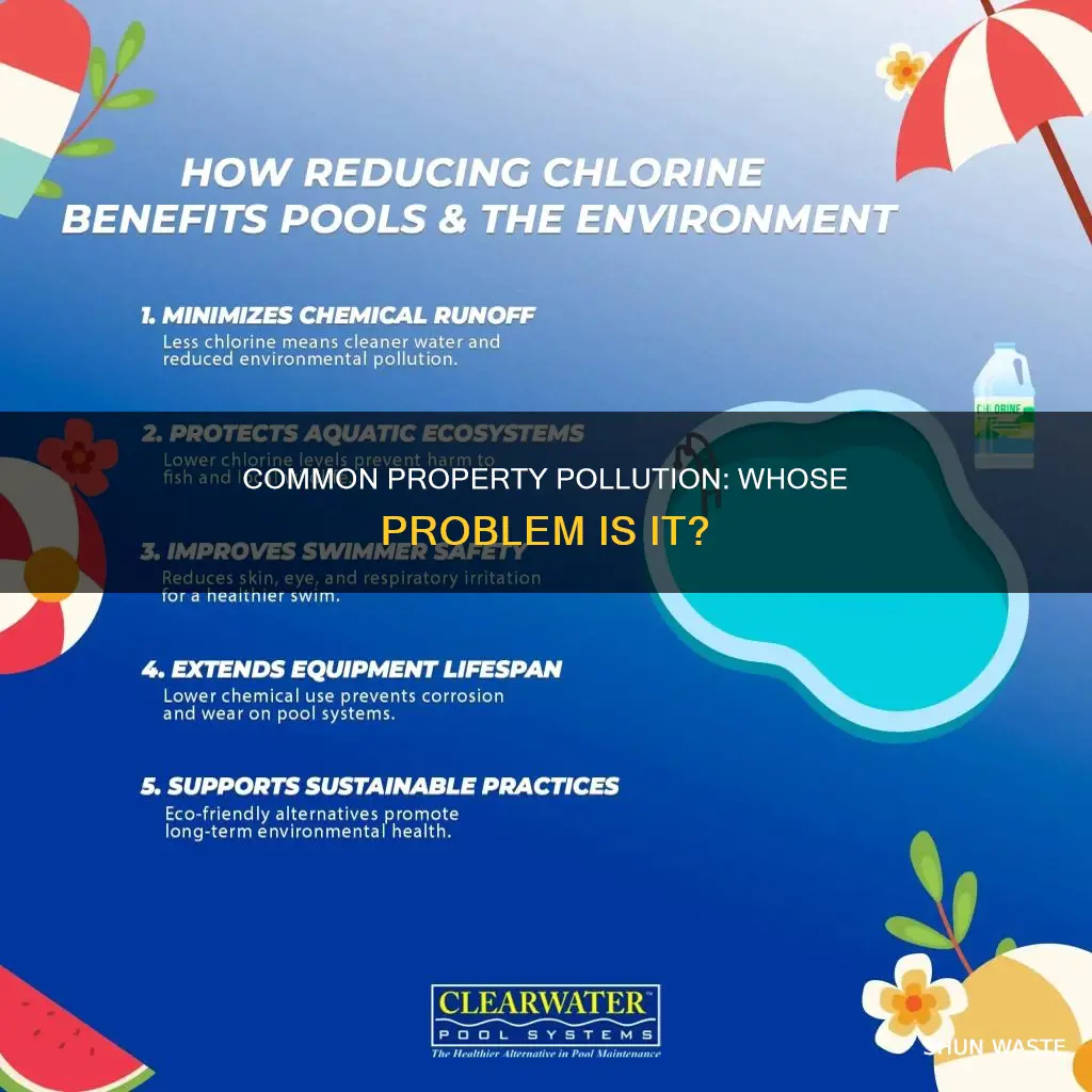 what is the issue with common property pollution