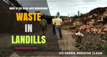 Nonorganic Waste in Landfills: Environmental Hazards and Sustainable Solutions