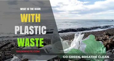 The Growing Crisis of Plastic Waste: Causes and Consequences