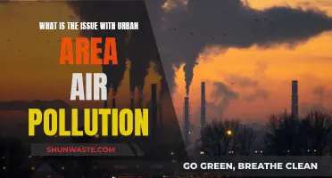 Air Pollution in Cities: What's the Problem?