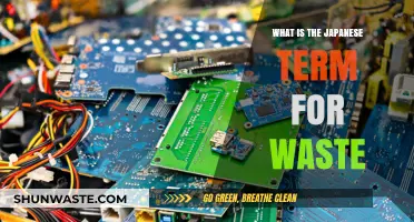 Understanding Muda: The Japanese Concept of Waste and Efficiency