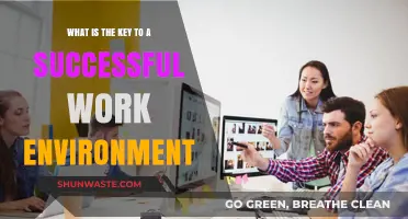 Fostering Collaboration and Trust: The Key to a Successful Work Environment