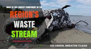 Unveiling the Dominant Element in Regional Waste Composition
