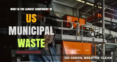 Unveiling the Dominant Element in US Municipal Waste Composition