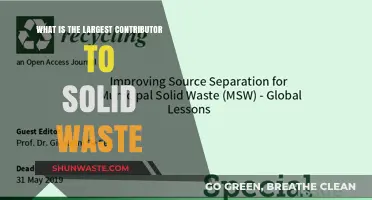 Unveiling the Primary Culprit Behind Global Solid Waste Accumulation