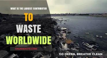Global Waste Crisis: Identifying the Primary Source of Worldwide Pollution