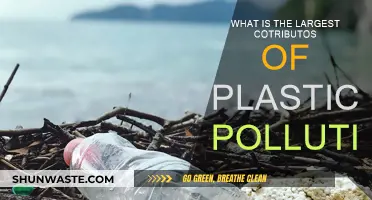 The Dark Side of Single-Use Plastics