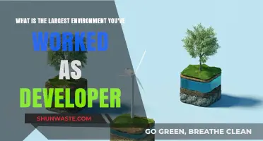 Scaling New Heights: My Largest Development Environment Experience