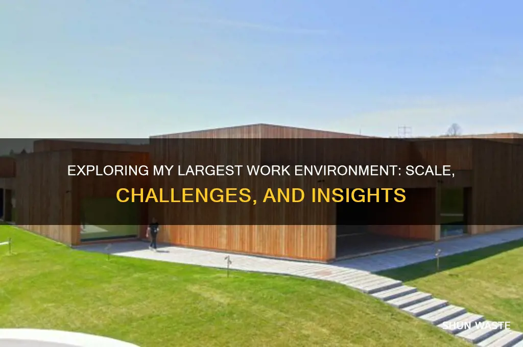 what is the largest environment you