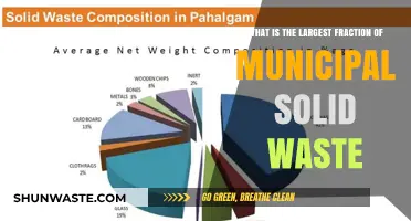 Understanding the Dominant Fraction of Municipal Solid Waste Composition