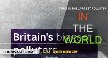 Who's the World's Biggest Polluter?