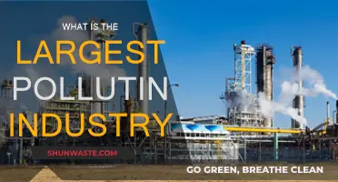 The Worst Polluters: Which Industries Top the List?