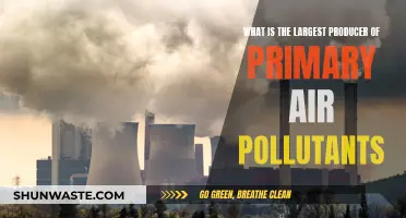 Who's the Biggest Culprit? Primary Air Pollutants