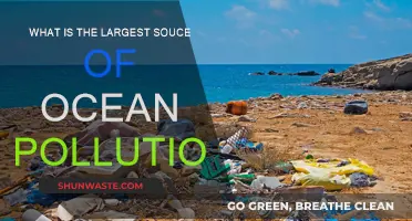 The Devastating Impact of Plastic Pollution on Oceans