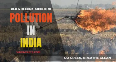 Air Pollution in India: What's the Main Culprit?
