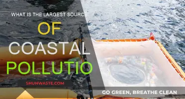 The Deadliest Pollutant in Our Oceans