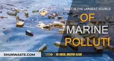 The Ocean's Biggest Enemy: Plastic Pollution